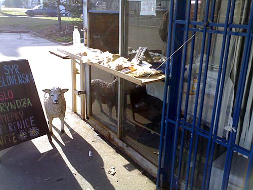 10022007370.jpg